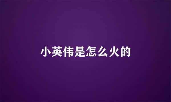 小英伟是怎么火的