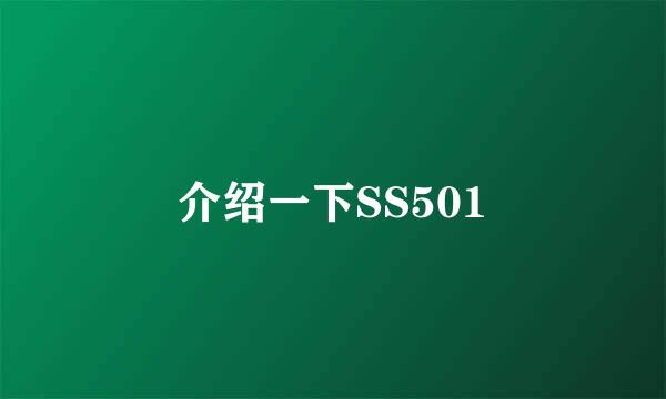 介绍一下SS501