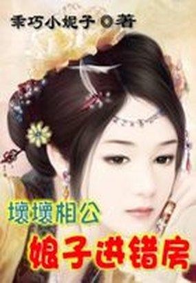 《坏坏相公：娘子进错房》最新章节全文阅读免费下载百度网盘资源，谁有？