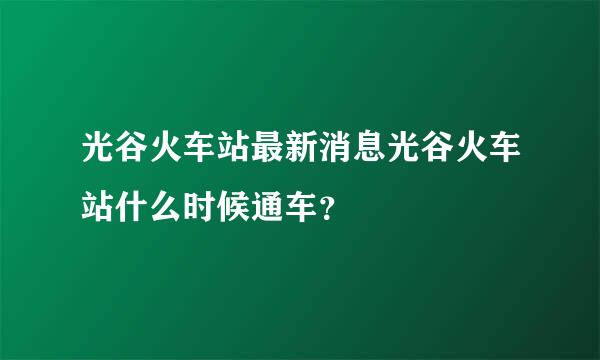 光谷火车站最新消息光谷火车站什么时候通车？