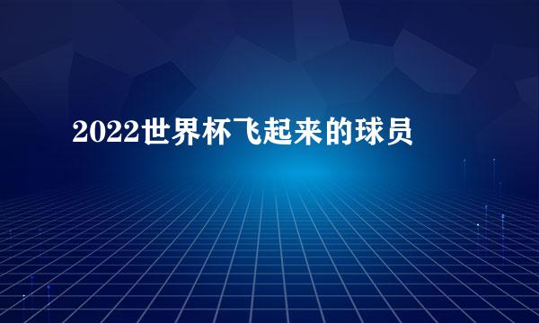 2022世界杯飞起来的球员