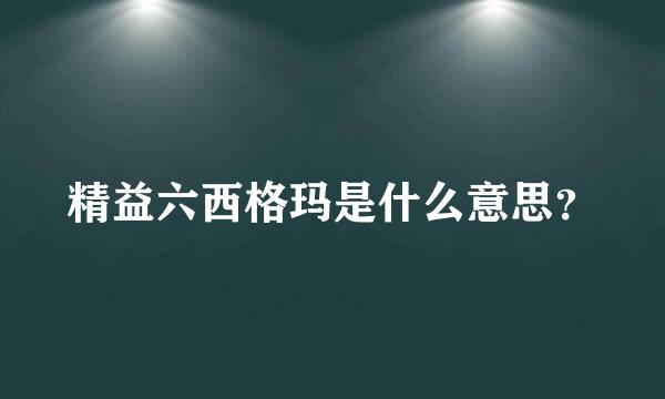 精益六西格玛是什么意思？