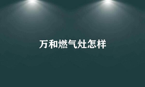 万和燃气灶怎样