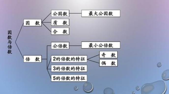 因数是什么？