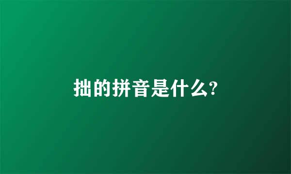 拙的拼音是什么?