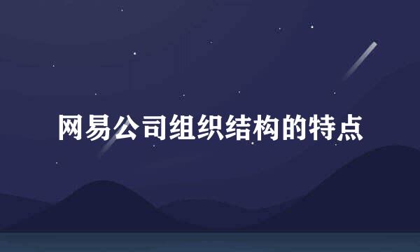 网易公司组织结构的特点