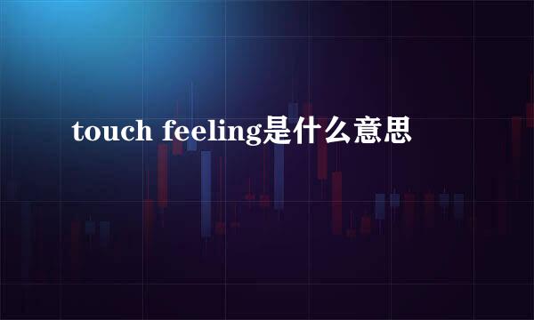 touch feeling是什么意思