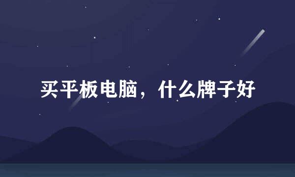 买平板电脑，什么牌子好