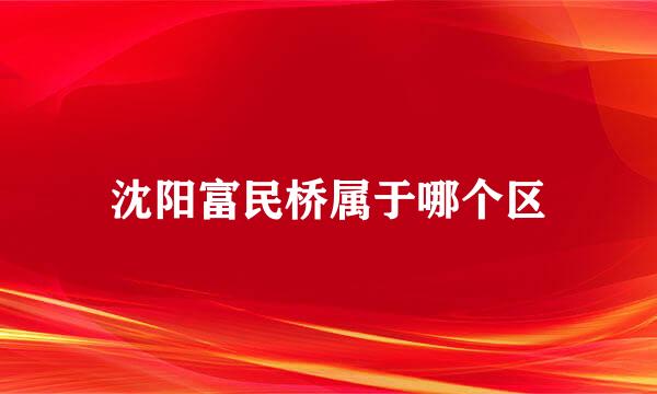 沈阳富民桥属于哪个区