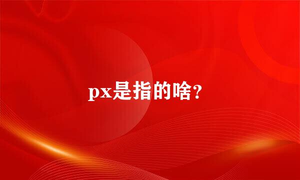 px是指的啥？