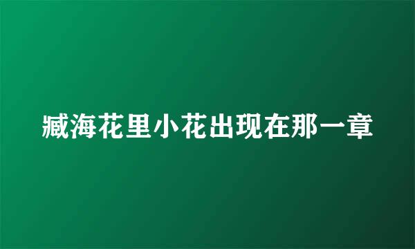 臧海花里小花出现在那一章