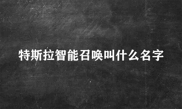 特斯拉智能召唤叫什么名字