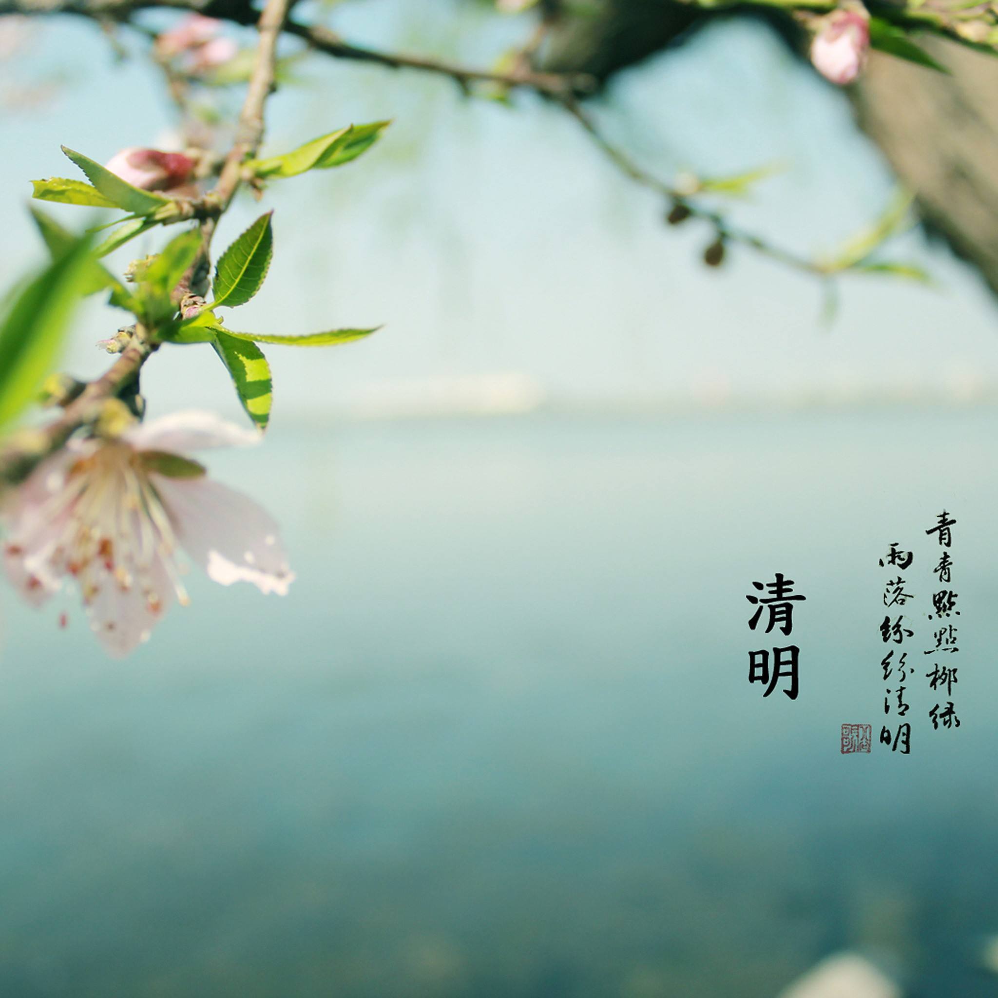 清明节是哪天？