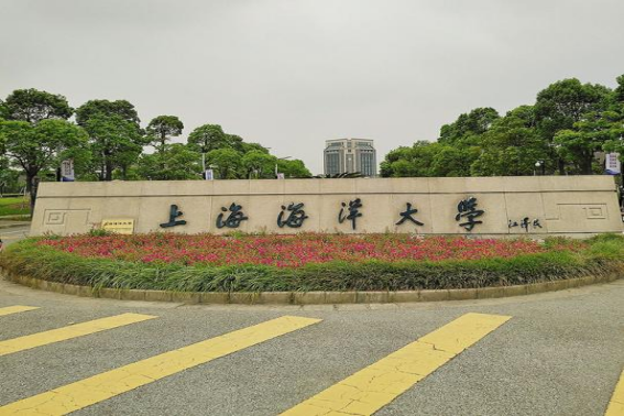 波士顿圆脸哪个大学的