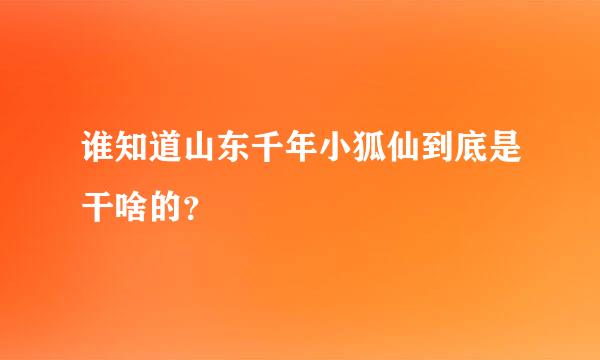 谁知道山东千年小狐仙到底是干啥的？