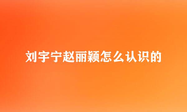 刘宇宁赵丽颖怎么认识的