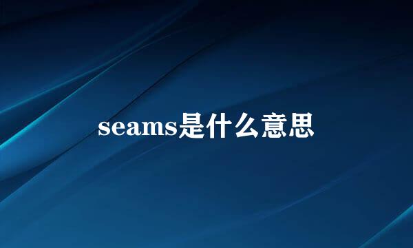 seams是什么意思