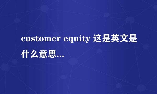 customer equity 这是英文是什么意思???不要用字面意思翻字...