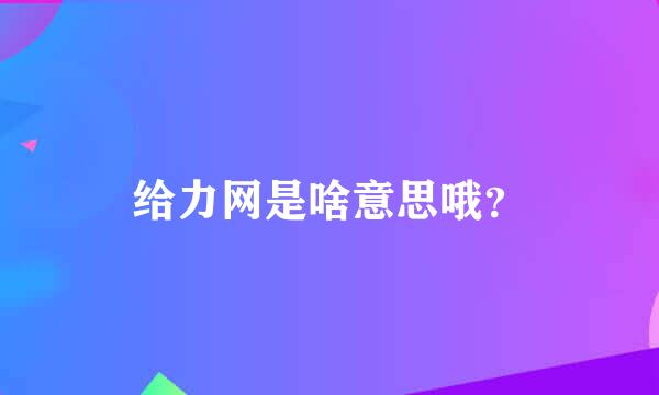 给力网是啥意思哦？