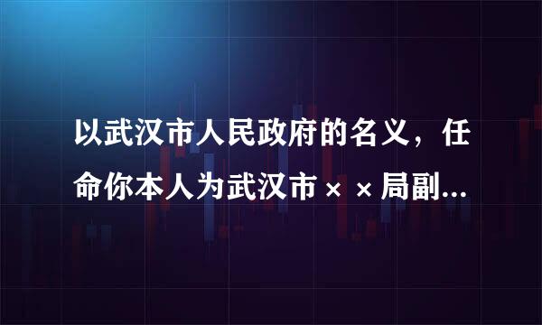 以武汉市人民政府的名义，任命你本人为武汉市××局副局长以公文的方式怎么写