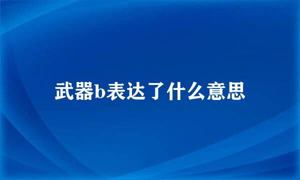 武器b表达了什么意思