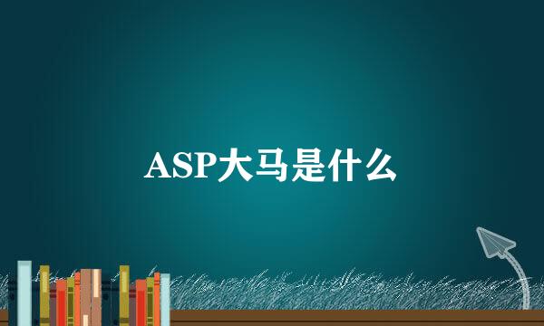 ASP大马是什么