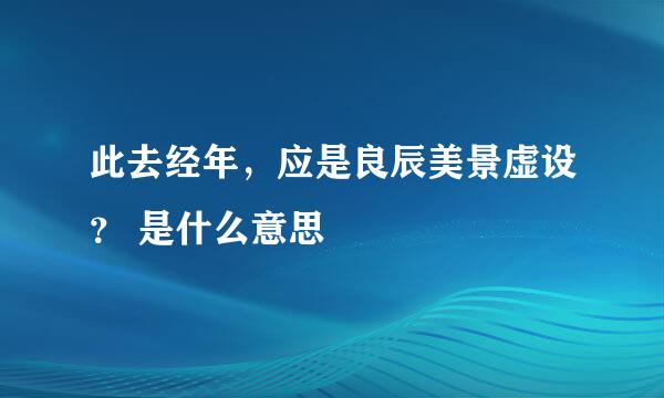 此去经年，应是良辰美景虚设？ 是什么意思