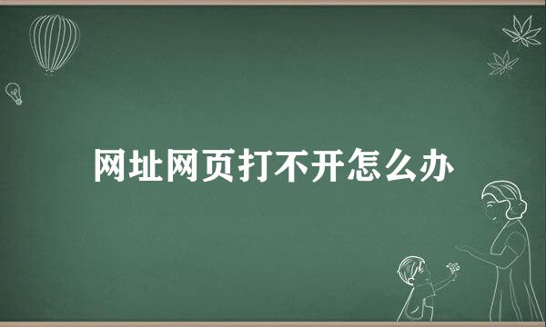 网址网页打不开怎么办