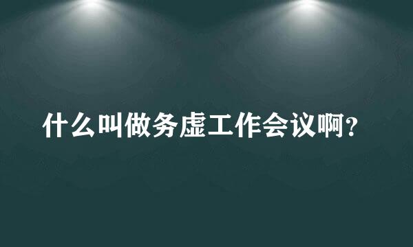 什么叫做务虚工作会议啊？