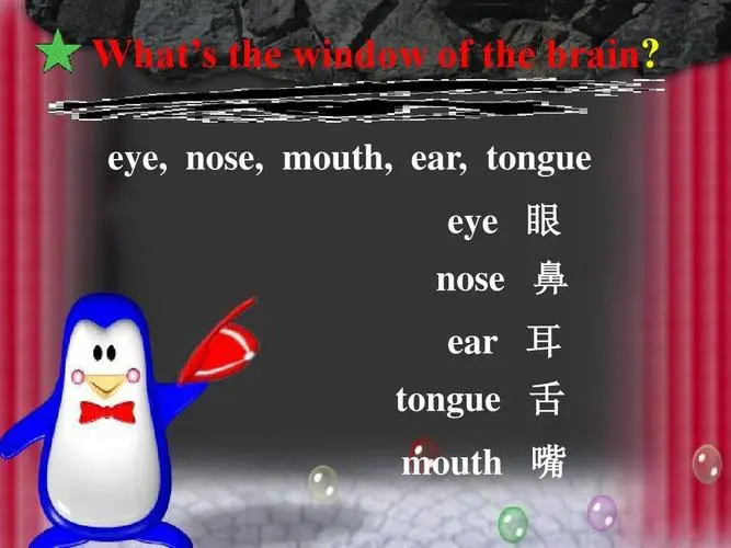 ear怎么读