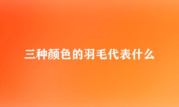 三种颜色的羽毛代表什么