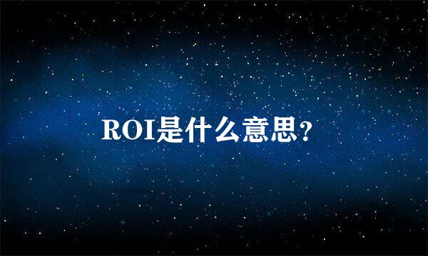 ROI是什么意思？