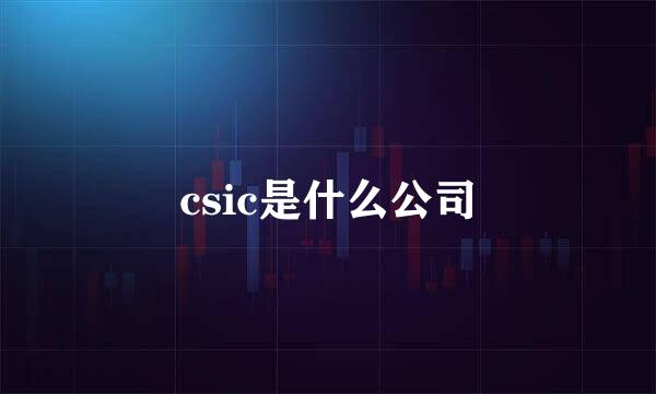 csic是什么公司