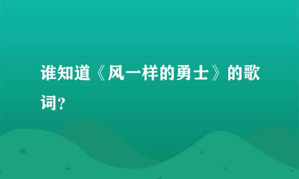 谁知道《风一样的勇士》的歌词？