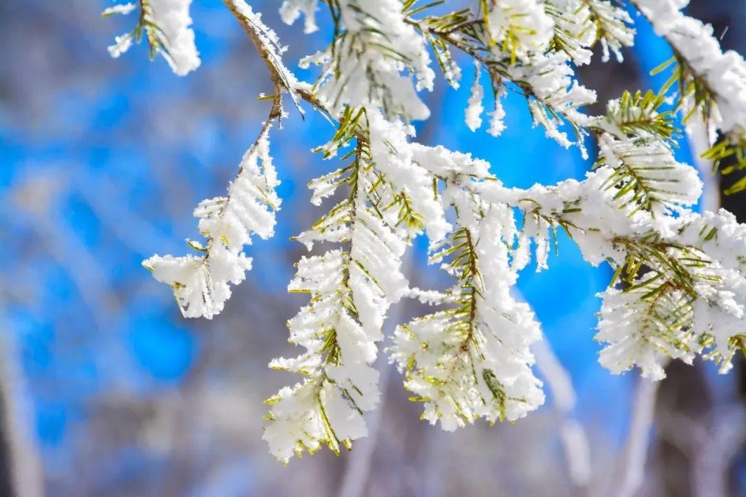 关于小雪的古诗