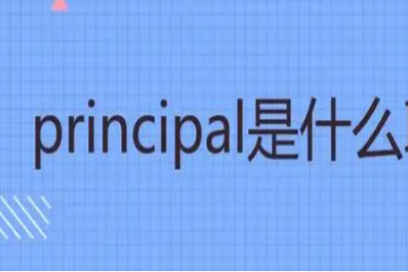 principal是什么意思