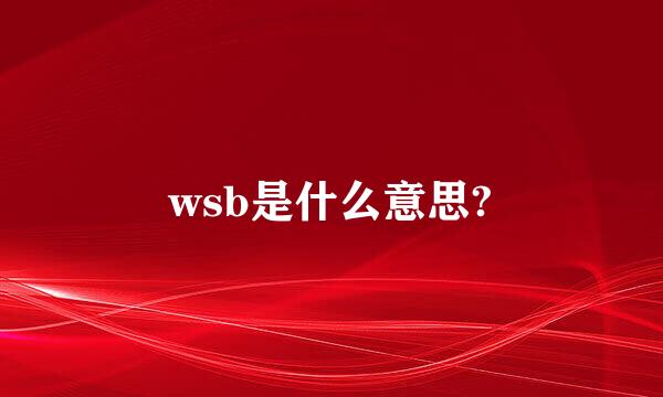 wsb是什么意思?