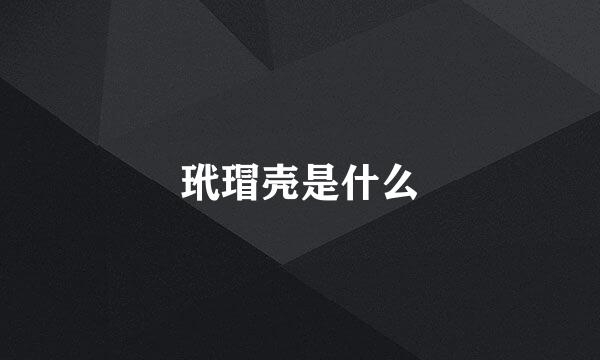 玳瑁壳是什么