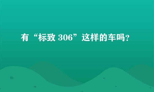 有“标致 306”这样的车吗？