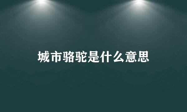 城市骆驼是什么意思