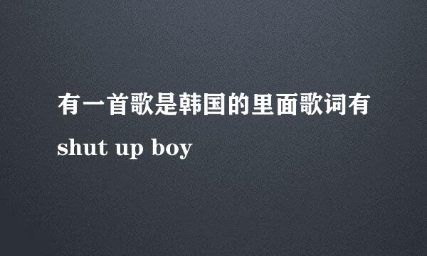 有一首歌是韩国的里面歌词有shut up boy