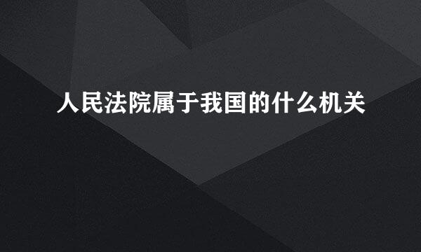 人民法院属于我国的什么机关