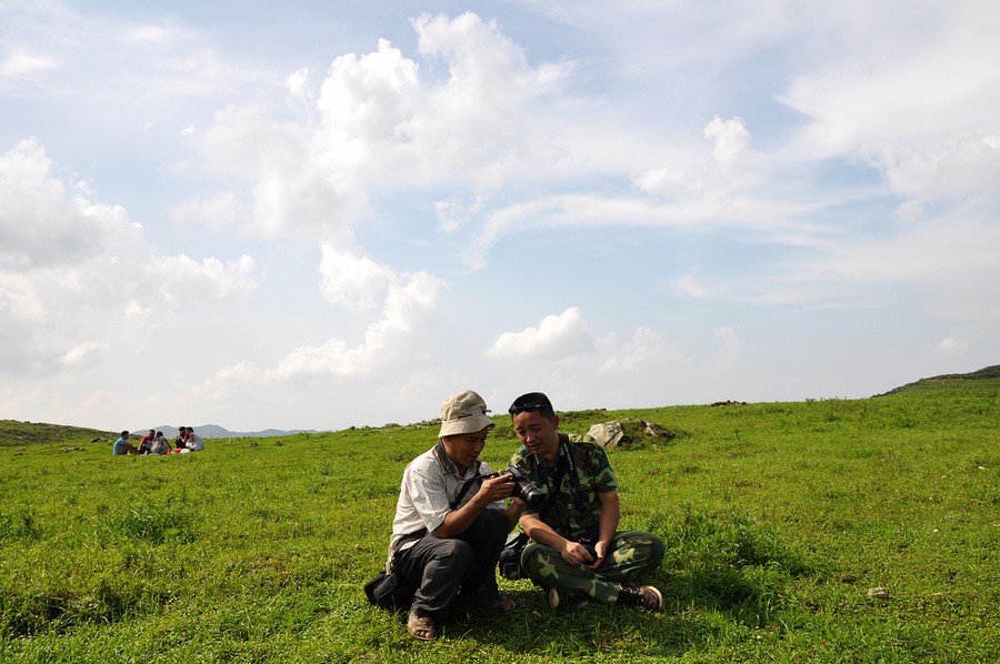 闲游什么意思