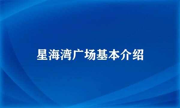 星海湾广场基本介绍