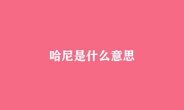 哈尼是什么意思