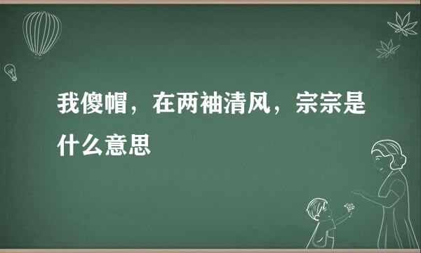 我傻帽，在两袖清风，宗宗是什么意思