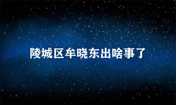 陵城区牟晓东出啥事了