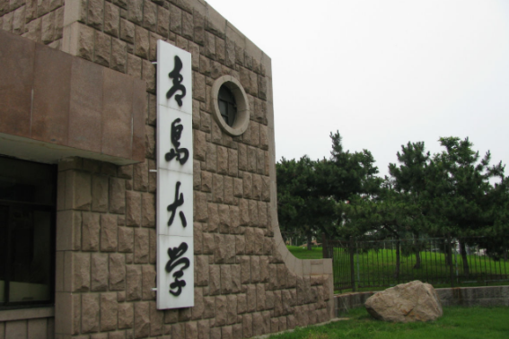 青岛师范类大学有哪些大学