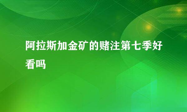 阿拉斯加金矿的赌注第七季好看吗