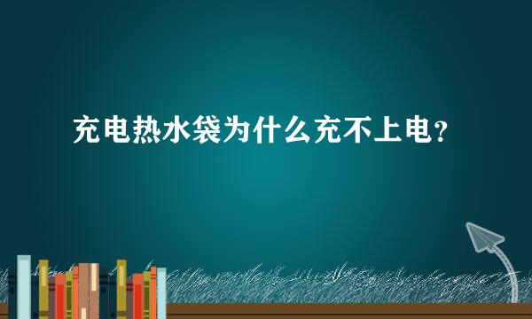 充电热水袋为什么充不上电？